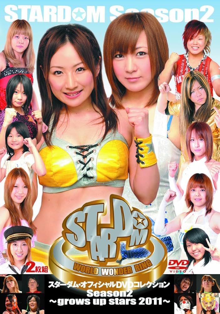 スターダム STARDOM BEST SELECTION 2017　　DVD スターダム STARDOM BEST SELECTION 2017 DVD - メルカリ